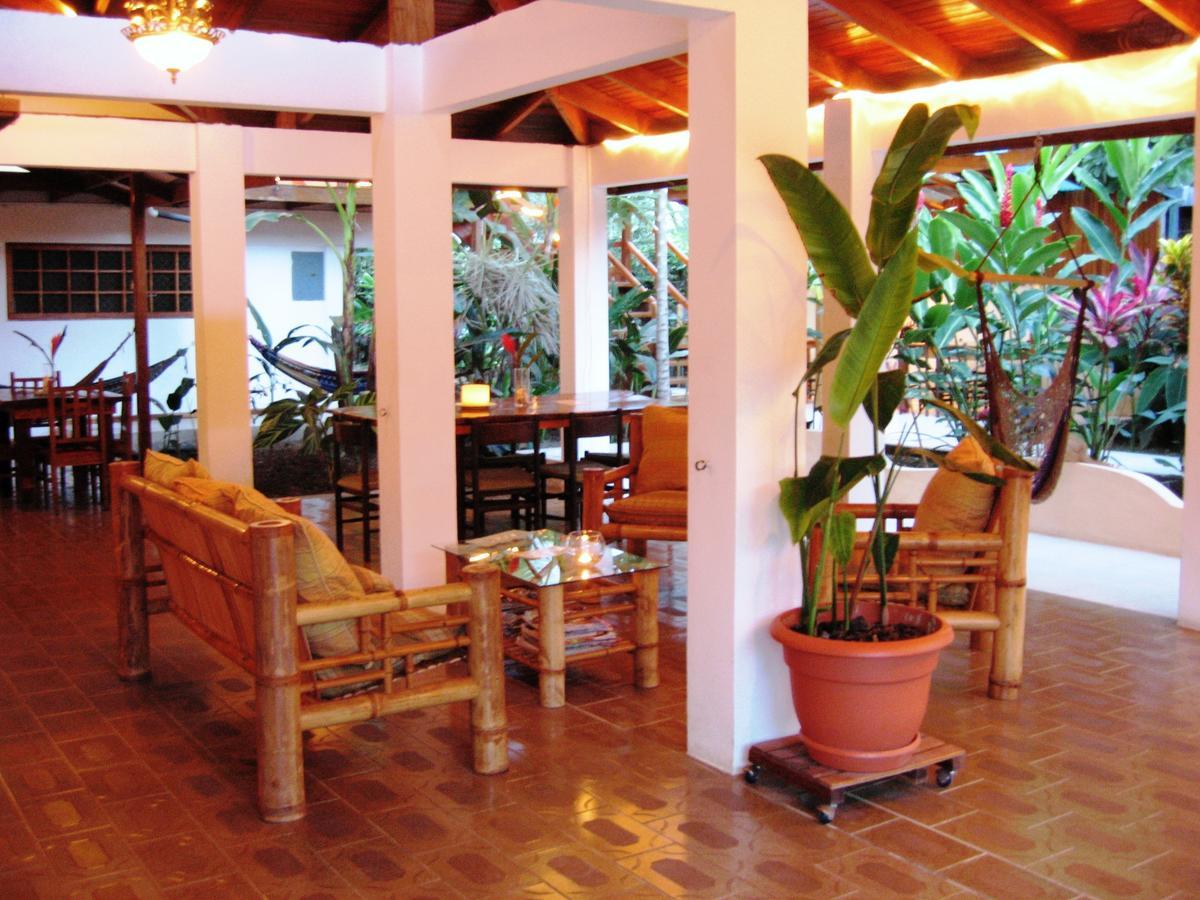 Hotel Pura Vida Puerto Viejo de Talamanca Extérieur photo