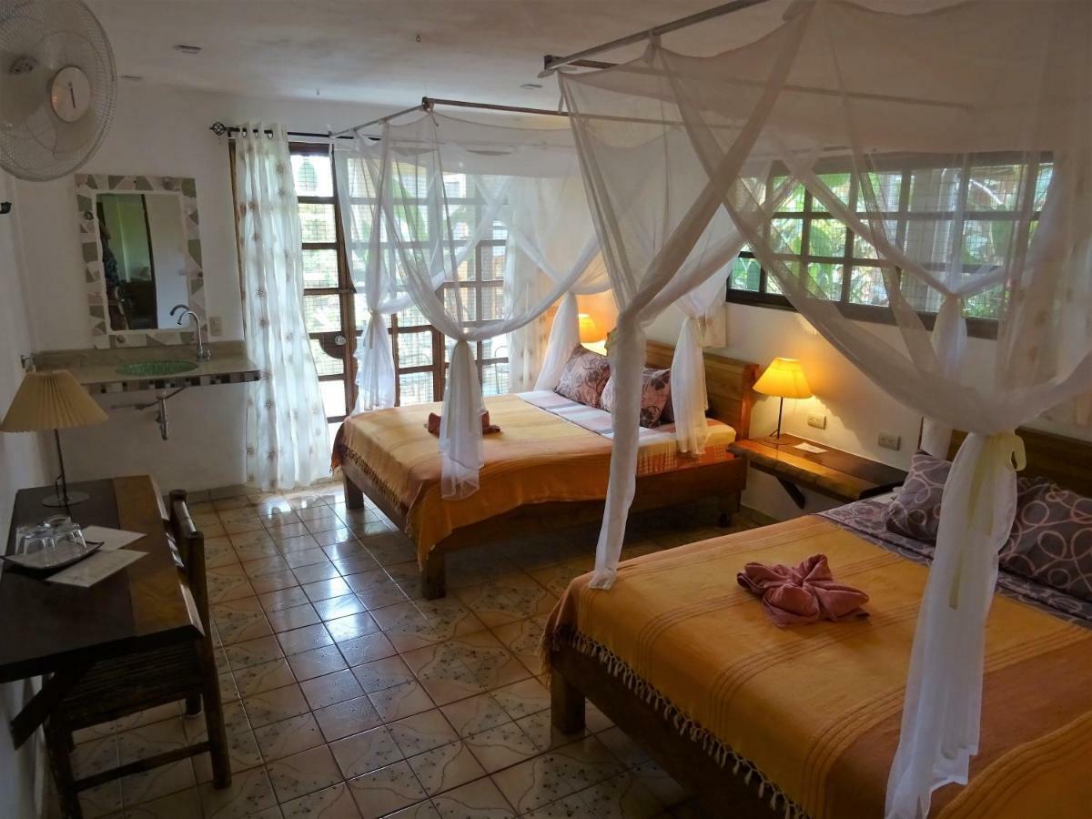 Hotel Pura Vida Puerto Viejo de Talamanca Extérieur photo